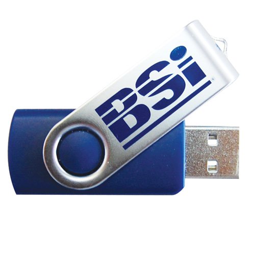 Tampo Printed USB Stick